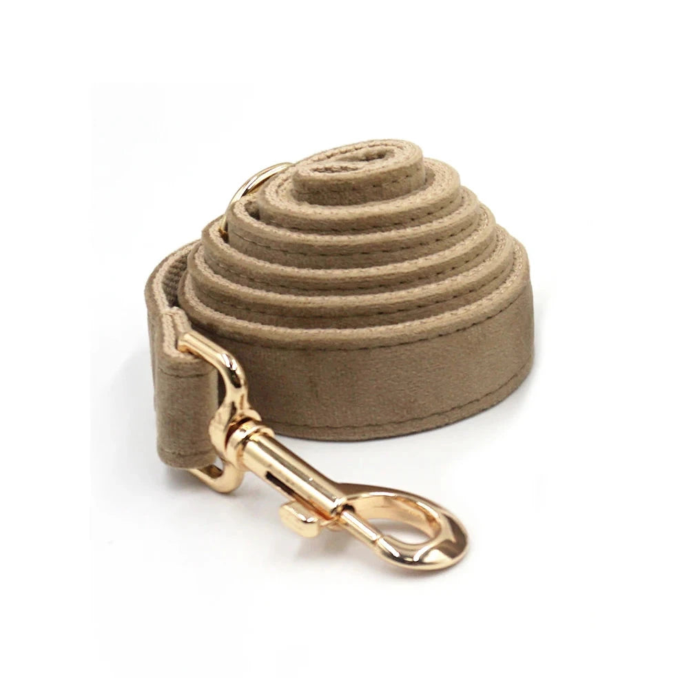 Set en Velours Café – Harnais, Collier & Laisse avec boucle Dorée | SANEO Pets SANEO Pets