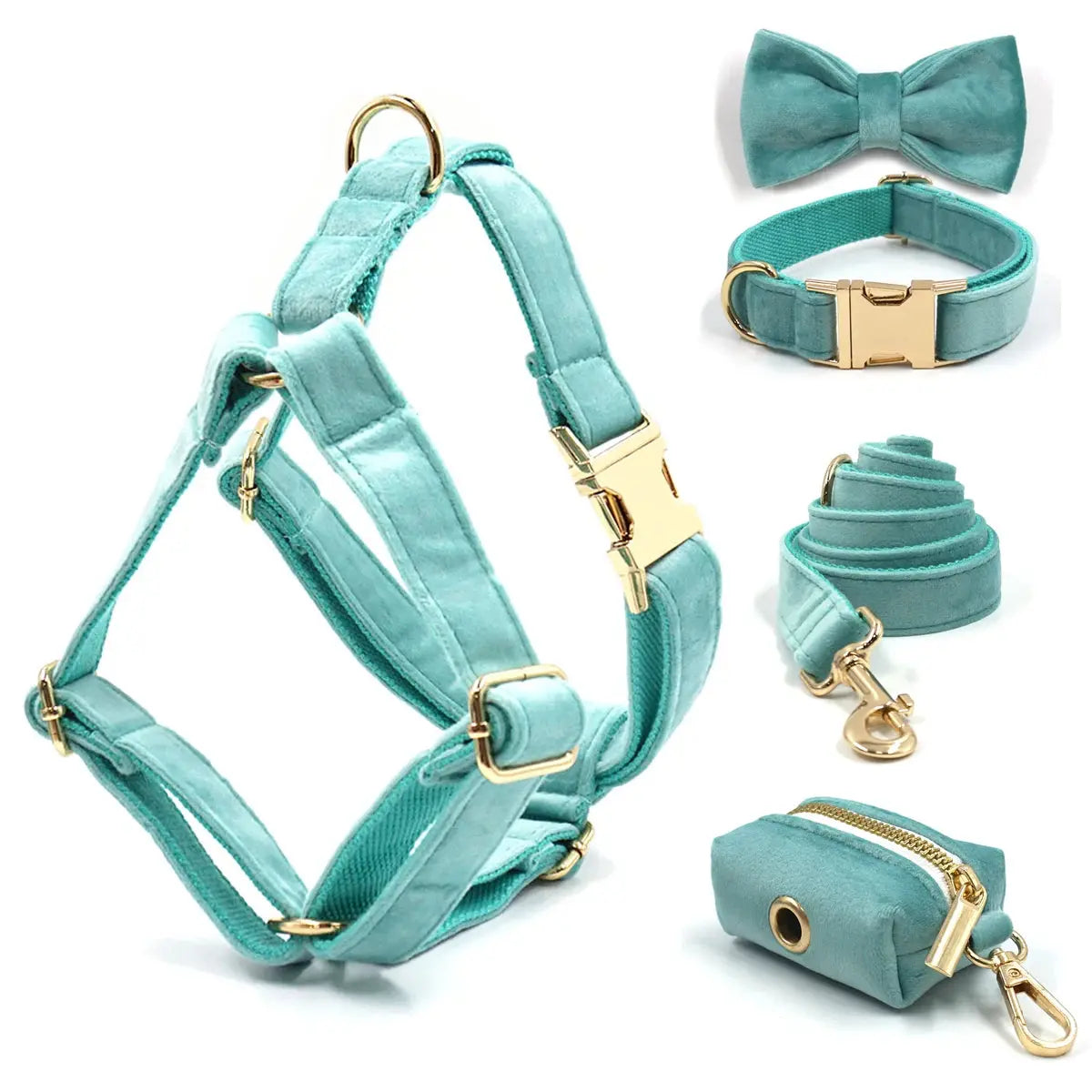 Set en Velours Tiffany Blue – Harnais, Collier & Laisse avec boucle Dorée | SANEO Pets SANEO Pets