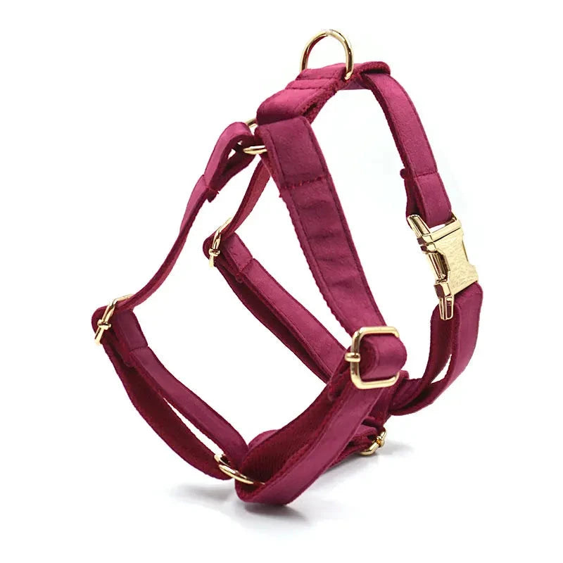 Set en Velours Rose Fushia – Harnais, Collier & Laisse avec boucle Dorée | SANEO Pets SANEO Pets