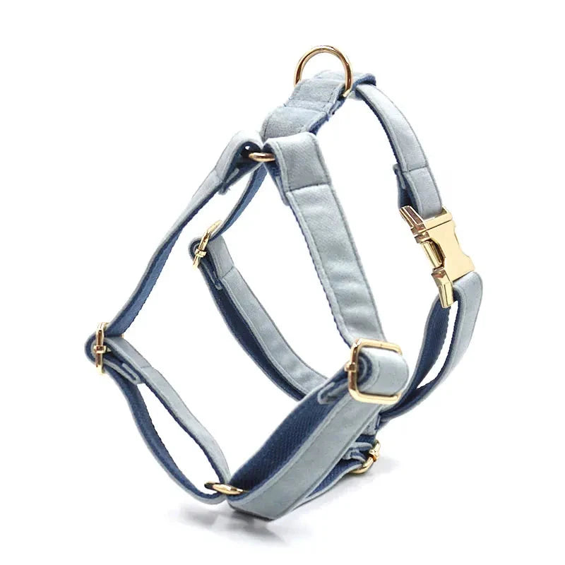 Set en Velours Bleu Poudré – Harnais, Collier & Laisse avec boucle Dorée | SANEO Pets SANEO Pets