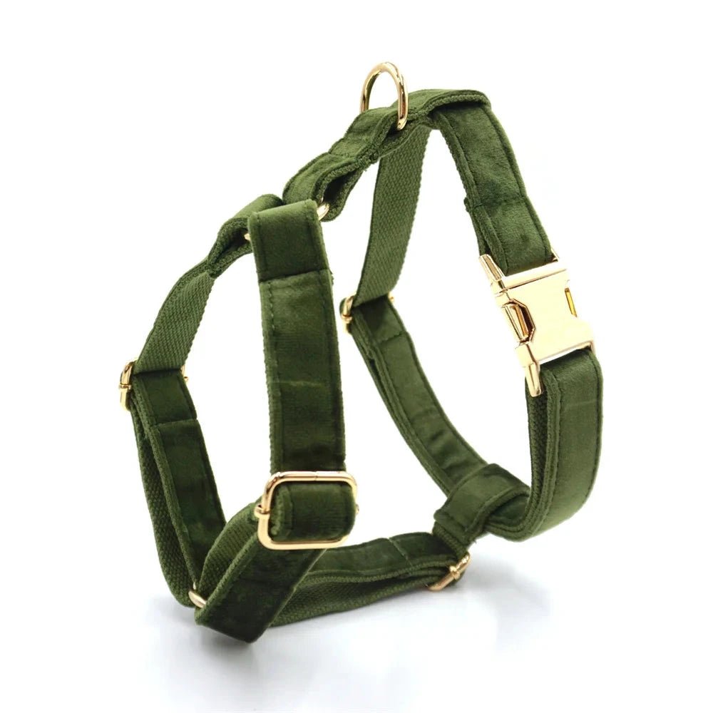 Set en Velours Vert Olive – Harnais, Collier & Laisse avec boucle Dorée | SANEO Pets SANEO Pets