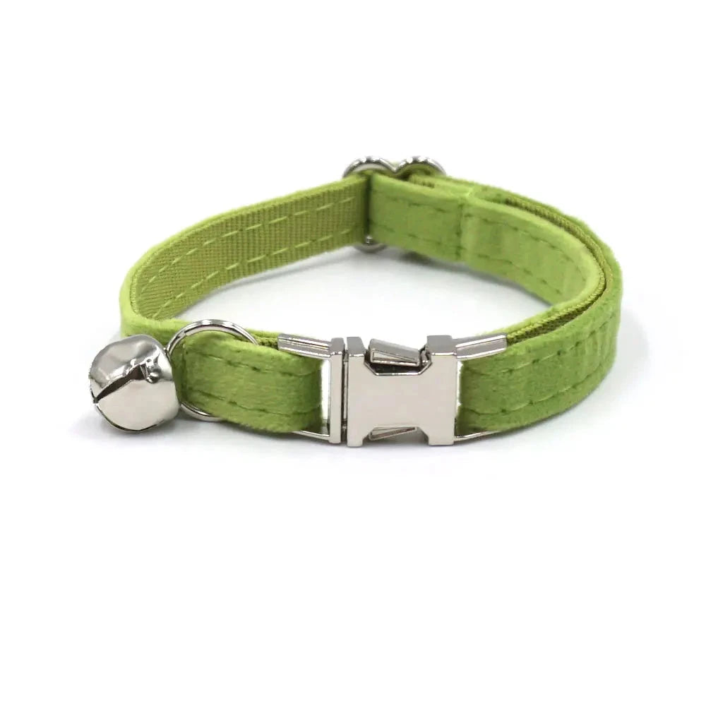 Collier en Velours Vert pour Chat – Élégance, Confort | SANEO Pets SANEO Pets