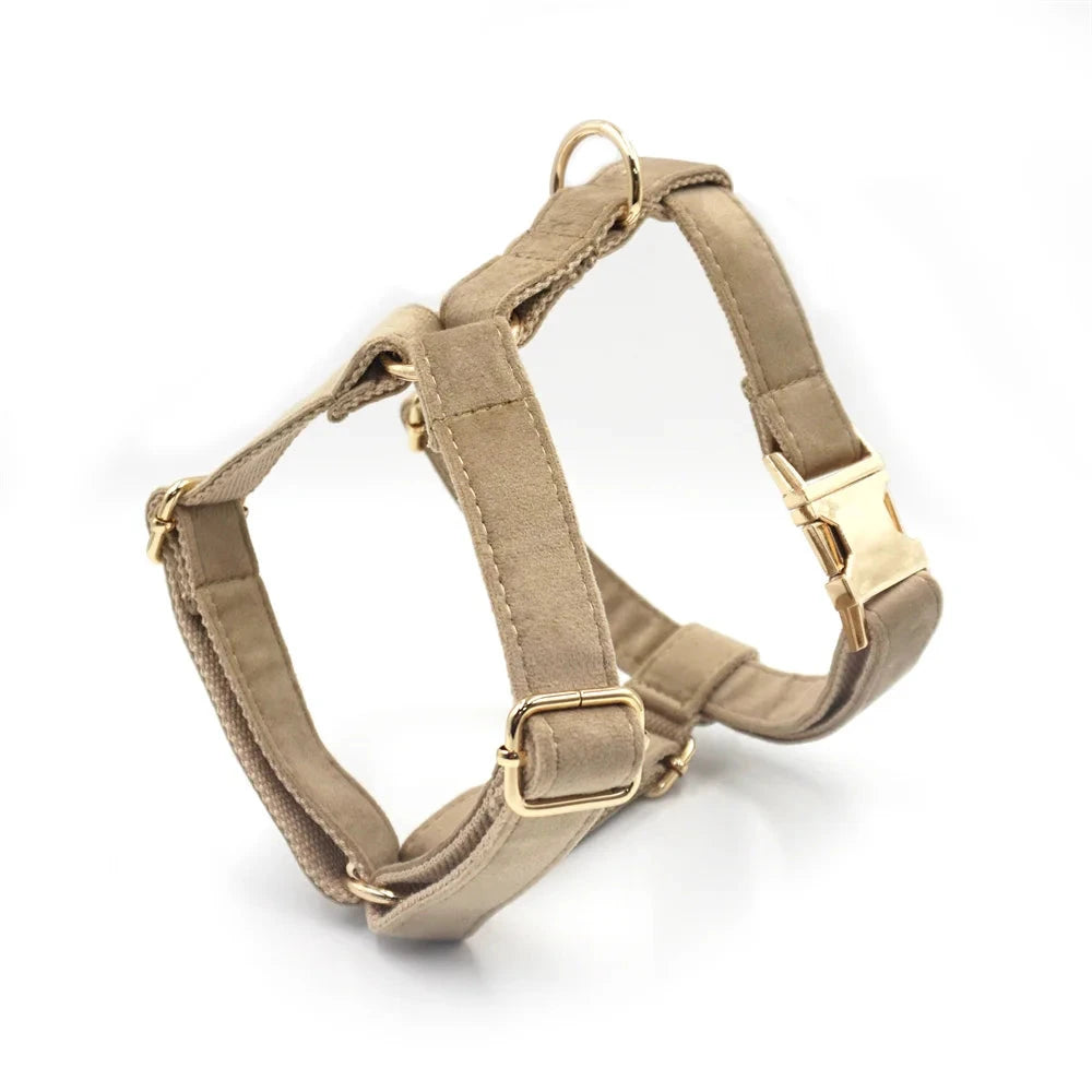 Set en Velours Café – Harnais, Collier & Laisse avec boucle Dorée | SANEO Pets SANEO Pets