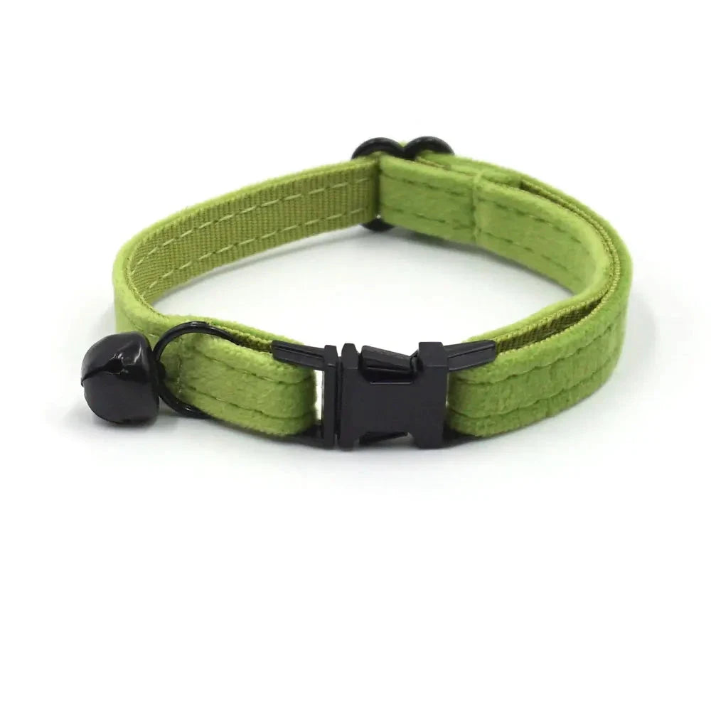 Collier en Velours Vert pour Chat – Élégance, Confort | SANEO Pets SANEO Pets
