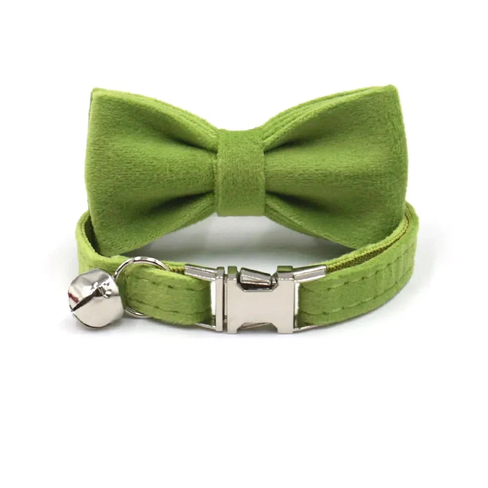 Collier en Velours Vert pour Chat – Élégance, Confort | SANEO Pets SANEO Pets