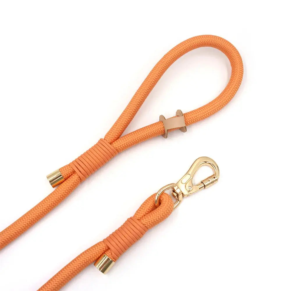 Set en Velours Orange – Collier & Laisse avec boucle Dorée | SANEO Pets SANEO Pets