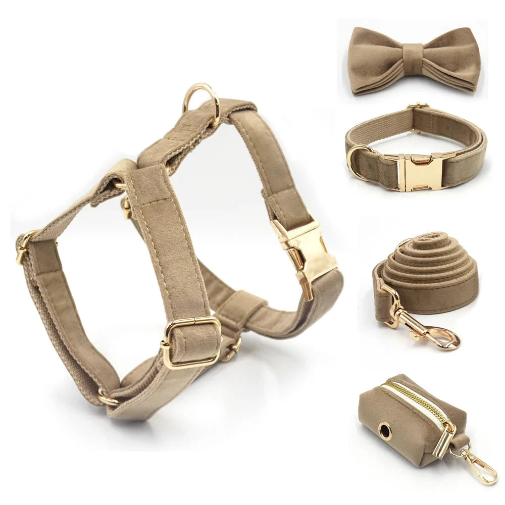 Set en Velours Café – Harnais, Collier & Laisse avec boucle Dorée | SANEO Pets SANEO Pets