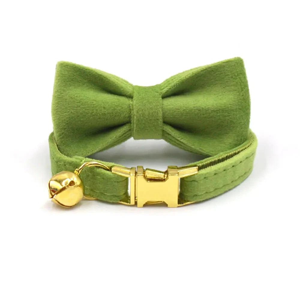 Collier en Velours Vert pour Chat – Élégance, Confort | SANEO Pets SANEO Pets