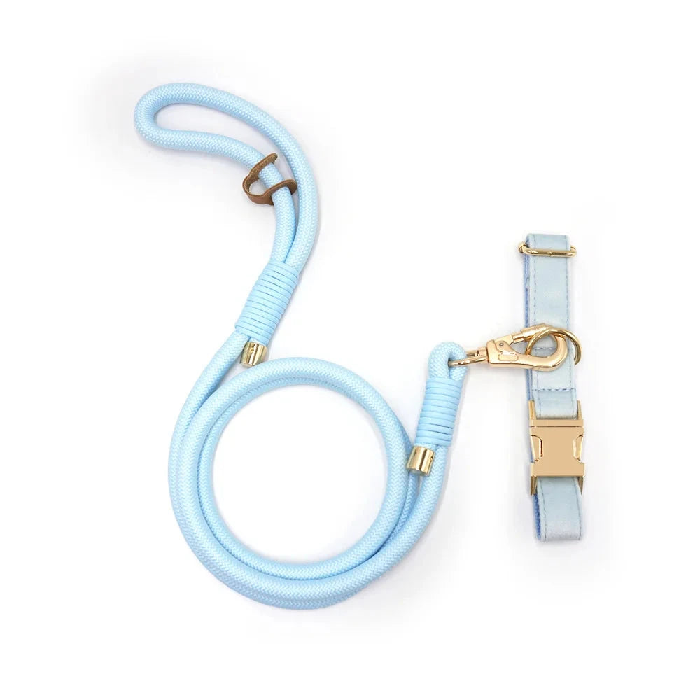 Set en Velours Bleu Ciel – Collier & Laisse avec boucle Dorée | SANEO Pets SANEO Pets