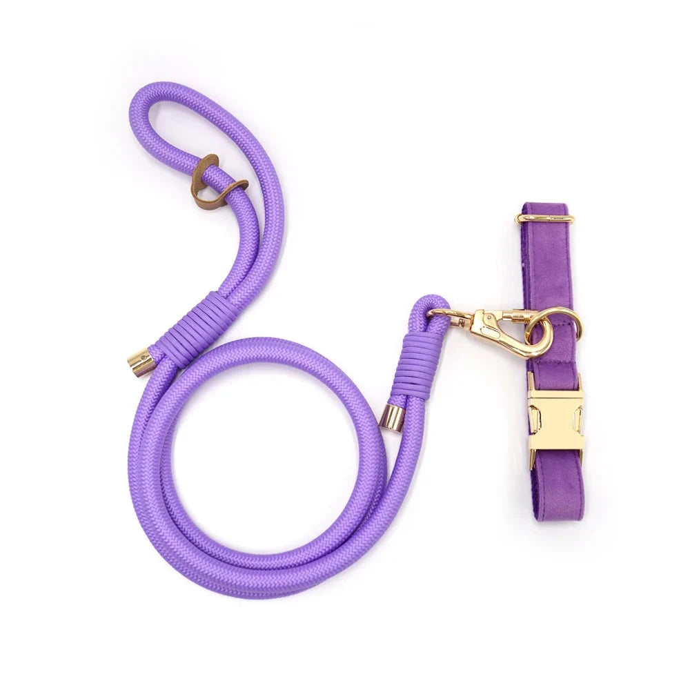 Set en Velours Violet – Collier & Laisse avec boucle Dorée | SANEO Pets SANEO Pets