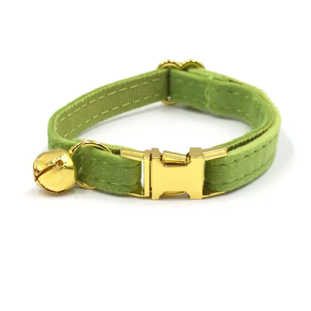 Collier en Velours Vert pour Chat – Élégance, Confort | SANEO Pets SANEO Pets