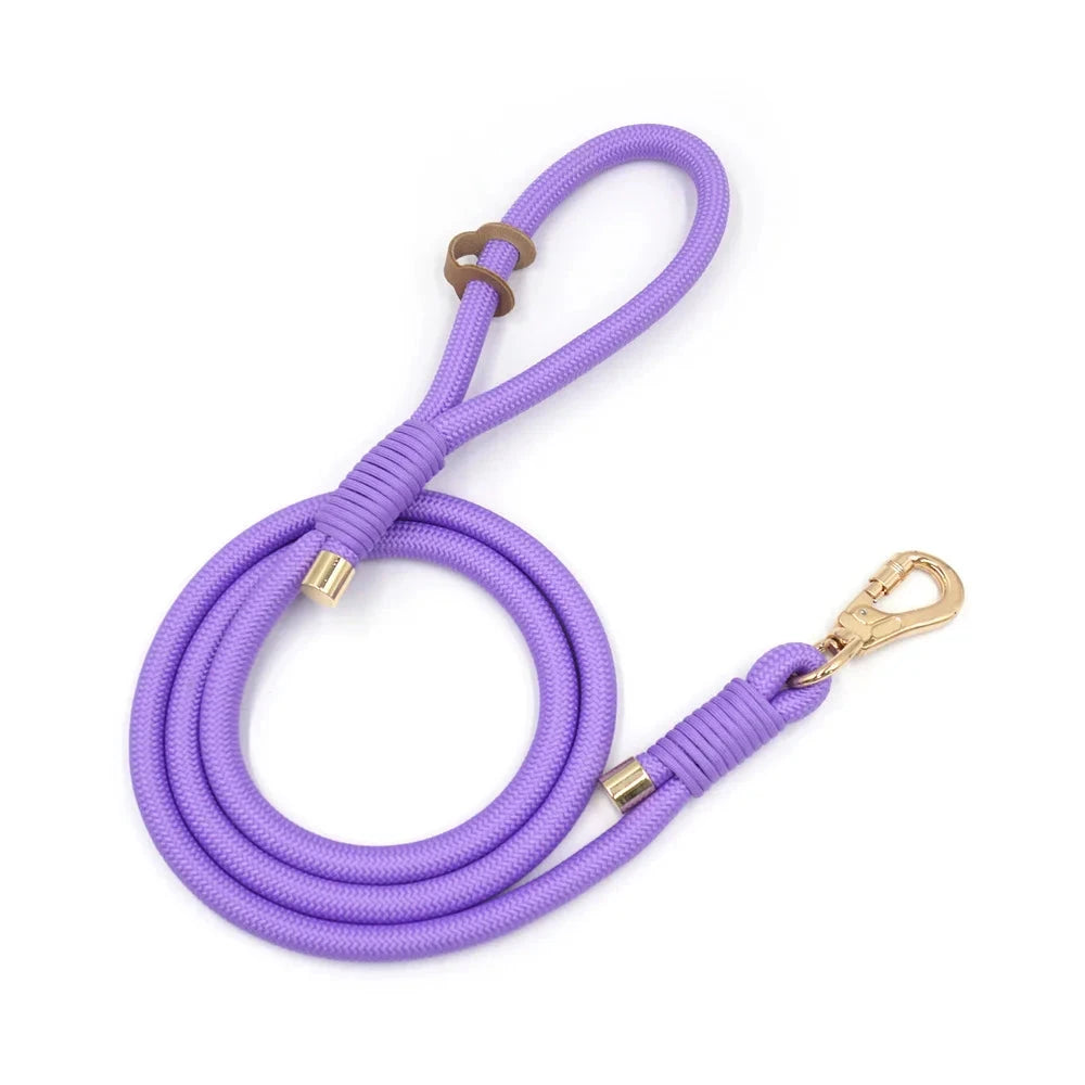 Set en Velours Violet – Collier & Laisse avec boucle Dorée | SANEO Pets SANEO Pets