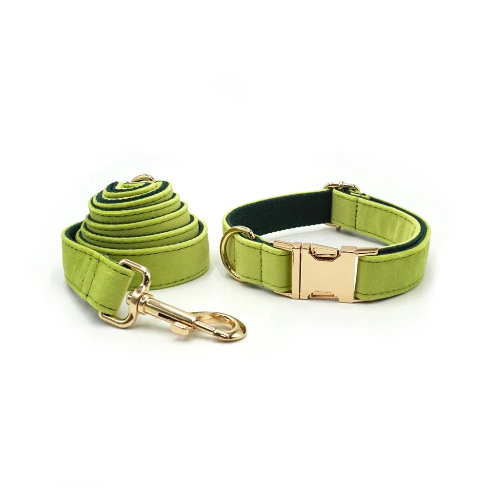 Set en Velours Vert Avocat – Harnais, Collier & Laisse avec boucle Dorée | SANEO Pets SANEO Pets