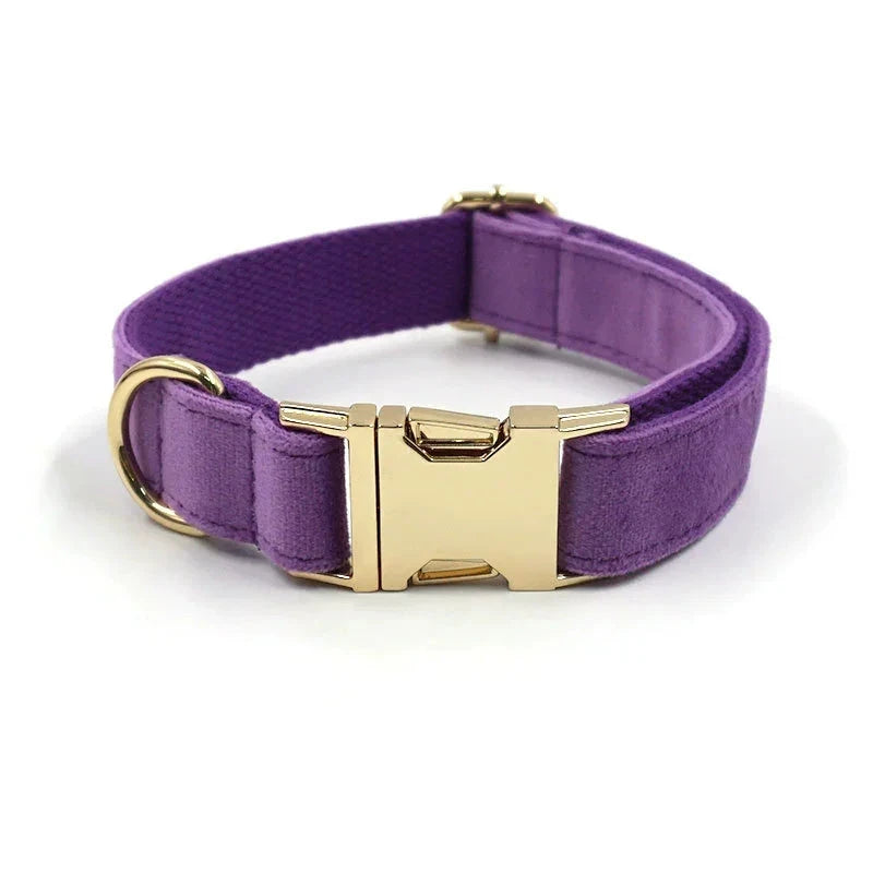 Set en Velours Violet – Collier & Laisse avec boucle Dorée | SANEO Pets SANEO Pets