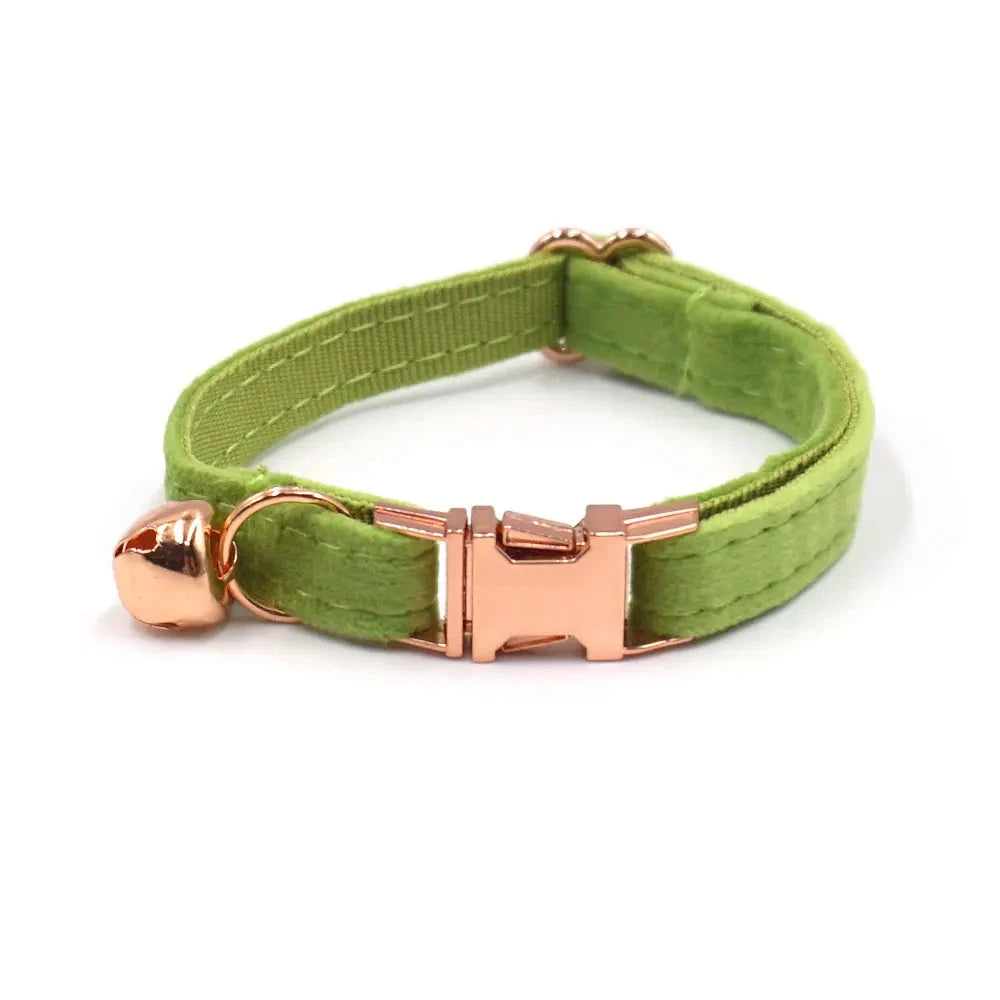 Collier en Velours Vert pour Chat – Élégance, Confort | SANEO Pets SANEO Pets
