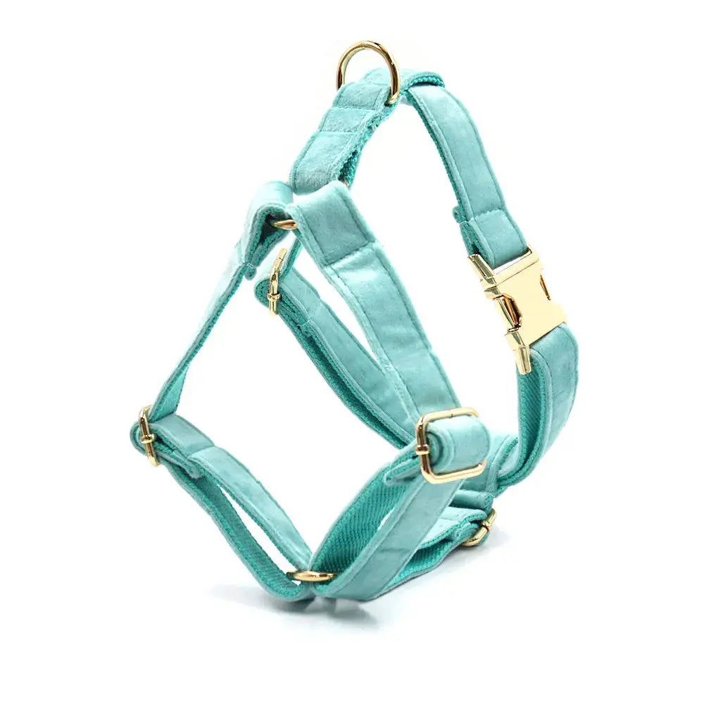 Set en Velours Tiffany Blue – Harnais, Collier & Laisse avec boucle Dorée | SANEO Pets SANEO Pets