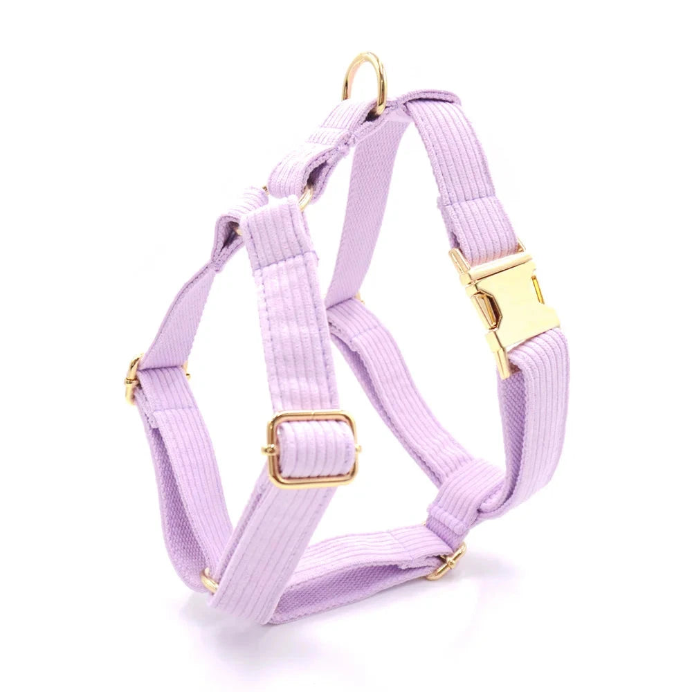 Set en Velours Violet – Harnais, Collier & Laisse avec boucle Dorée | SANEO Pets SANEO Pets