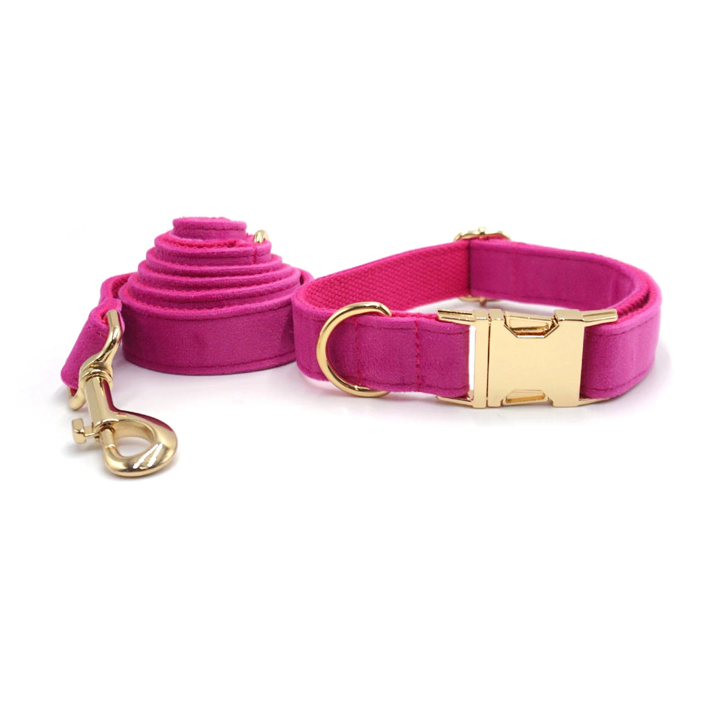 Set en Velours Rose Barbie – Harnais, Collier & Laisse avec boucle Dorée | SANEO Pets SANEO Pets