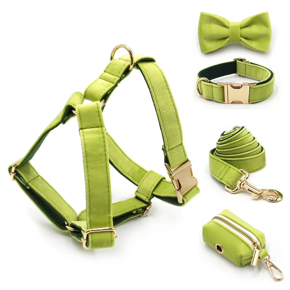 Set en Velours Vert Avocat – Harnais, Collier & Laisse avec boucle Dorée | SANEO Pets SANEO Pets