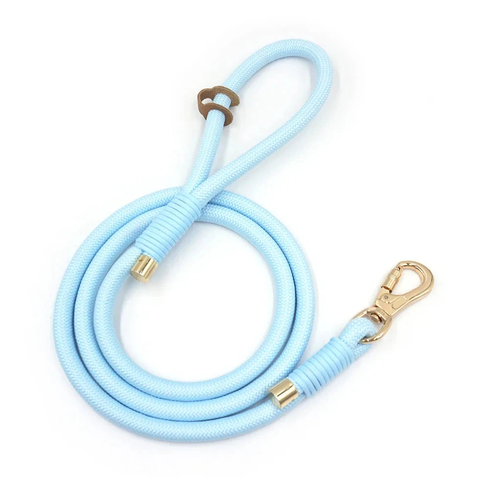 Set en Velours Bleu Ciel – Collier & Laisse avec boucle Dorée | SANEO Pets SANEO Pets