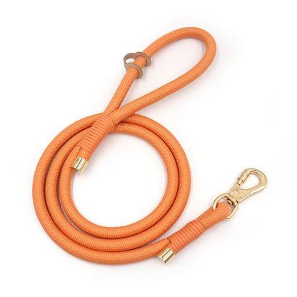 Set 3 Pièces Luxe en Velours Orange – Collier, Laisse & Poop Bag