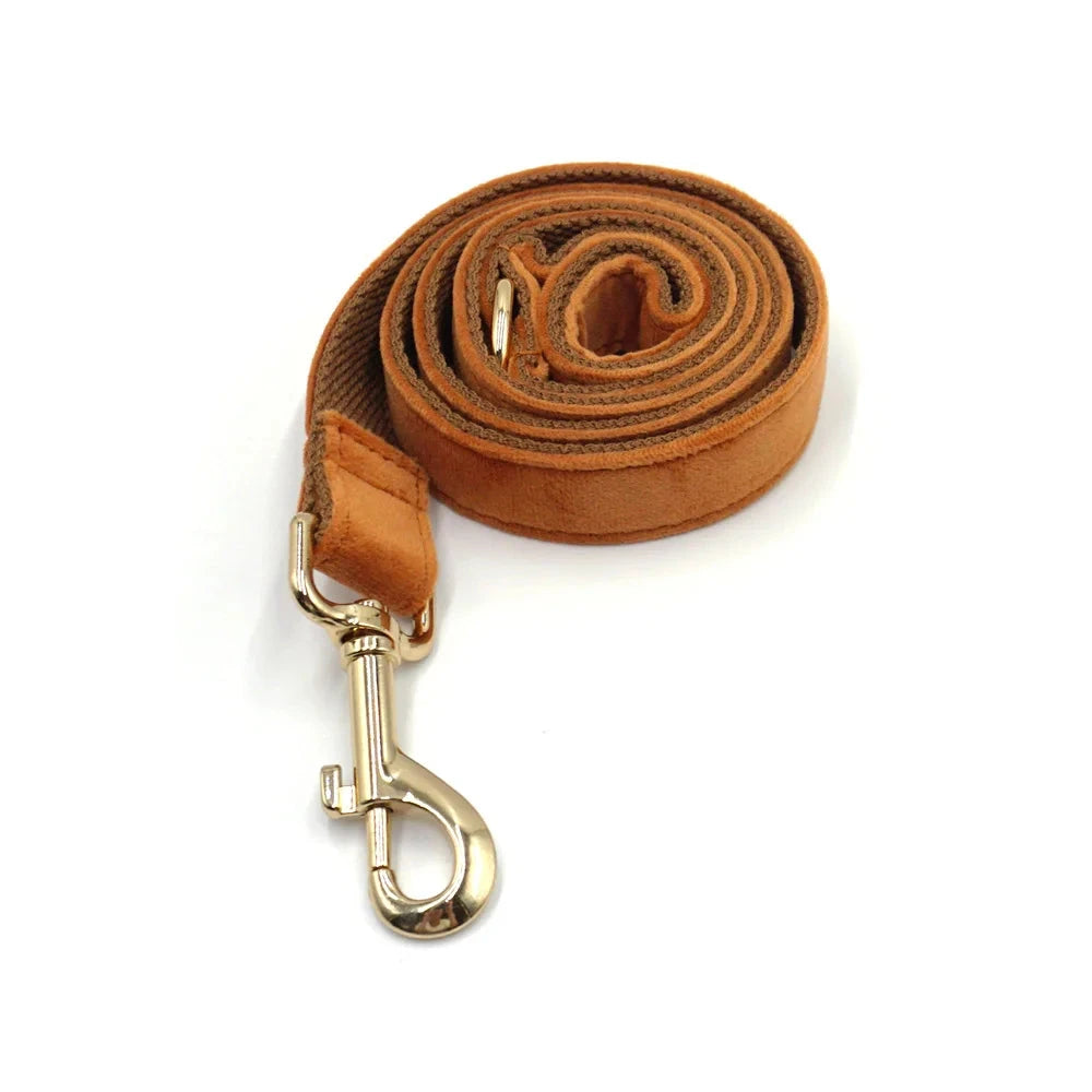 Set en Velours Bronze – Harnais, Collier & Laisse avec boucle Dorée | SANEO Pets SANEO Pets